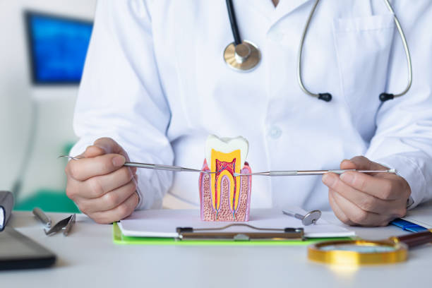 Best 24-Hour Emergency Dentist in Underwood Petersville, AL